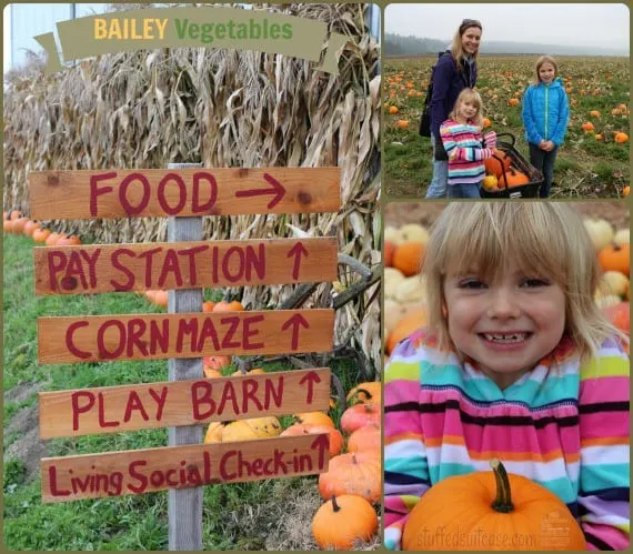 Pumpkin Patch Seattle Weekend Family Fun with Corn Maze Seattle Bailey Vegetables StuffedSuitcase.com #fall #activity