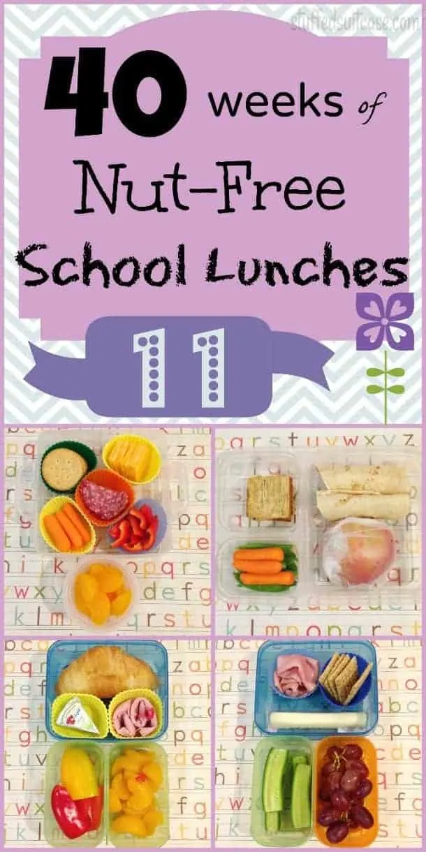 Week 11 of 40 Weeks of Kids School Lunches - ideas for packing your kid's lunch StuffedSuitcase.com