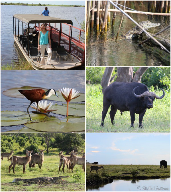 Shots from my safari river cruise during my trip to Botswana, Africa