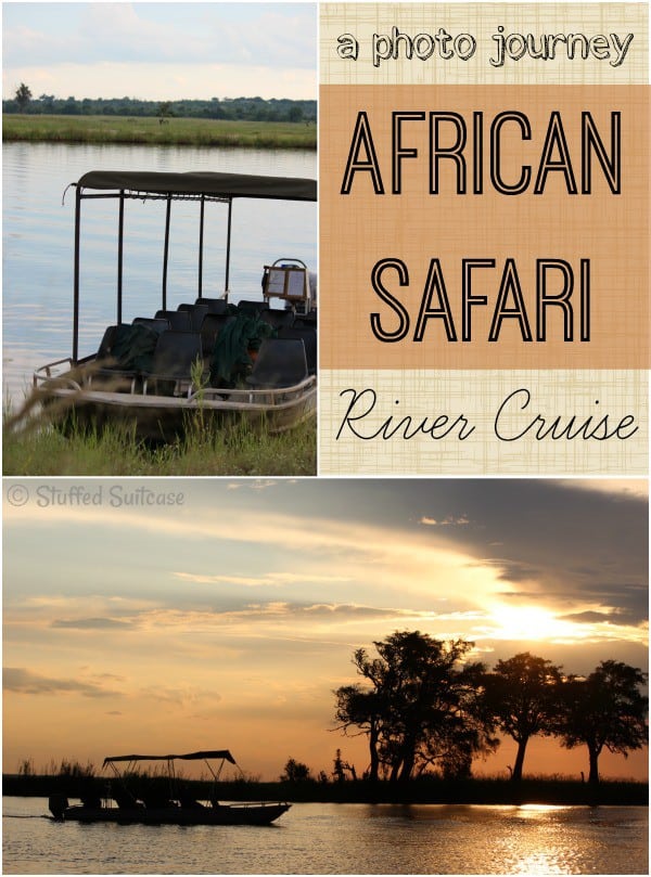 A Photo Journey - Pictures taken on my African Safari River Cruise along the Chobe River in Botswana Africa StuffedSuitcase.com travel