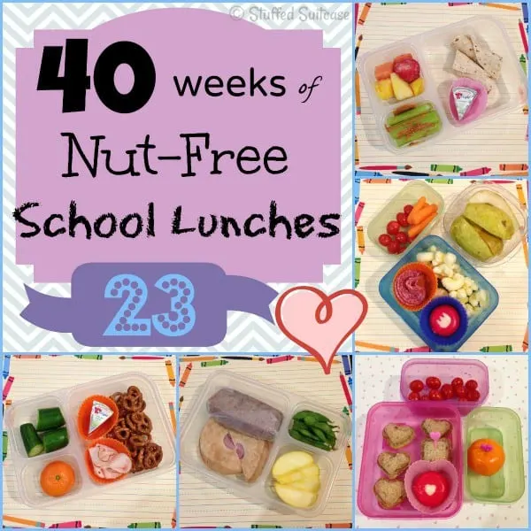 Week 23 of 40 Weeks Nut Free Kids School Lunches - for family lunch packing ideas StuffedSuitcase.com