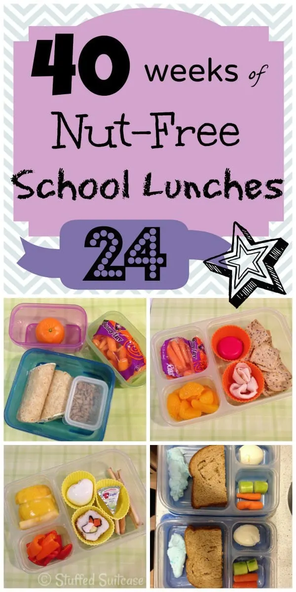 Kids School Lunch Box Ideas - Week 24 of my 40 Week Lunchbox Journey StuffedSuitcase.com