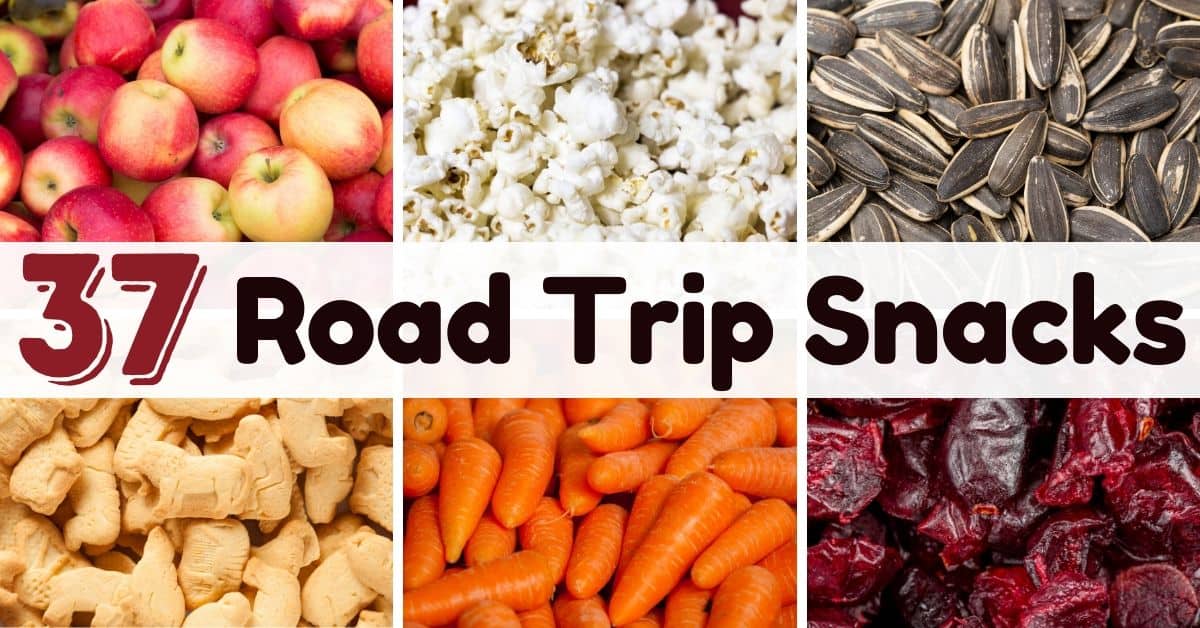 best road trip snacks to stay awake