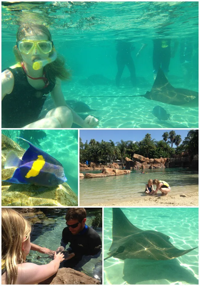 Snorkeling at Discovery Cove Grand Reef