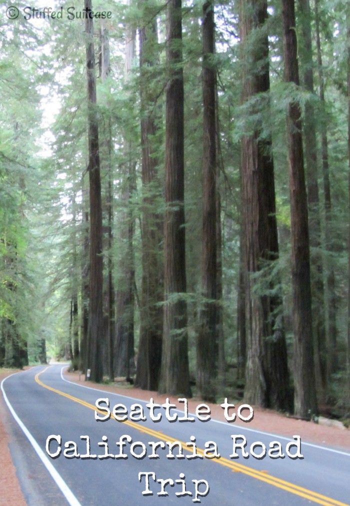 A look at what we did on our Seattle - California road trip family vacation. Redwood Forest, Golden Gate Bridge, Disneyland and more! StuffedSuitcase.com