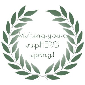 supHERB-spring