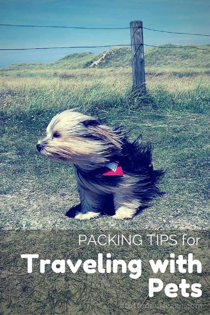 Ready to head out vacation with your favorite four-legged friend? Here are some packing tips to help you when traveling with pets!