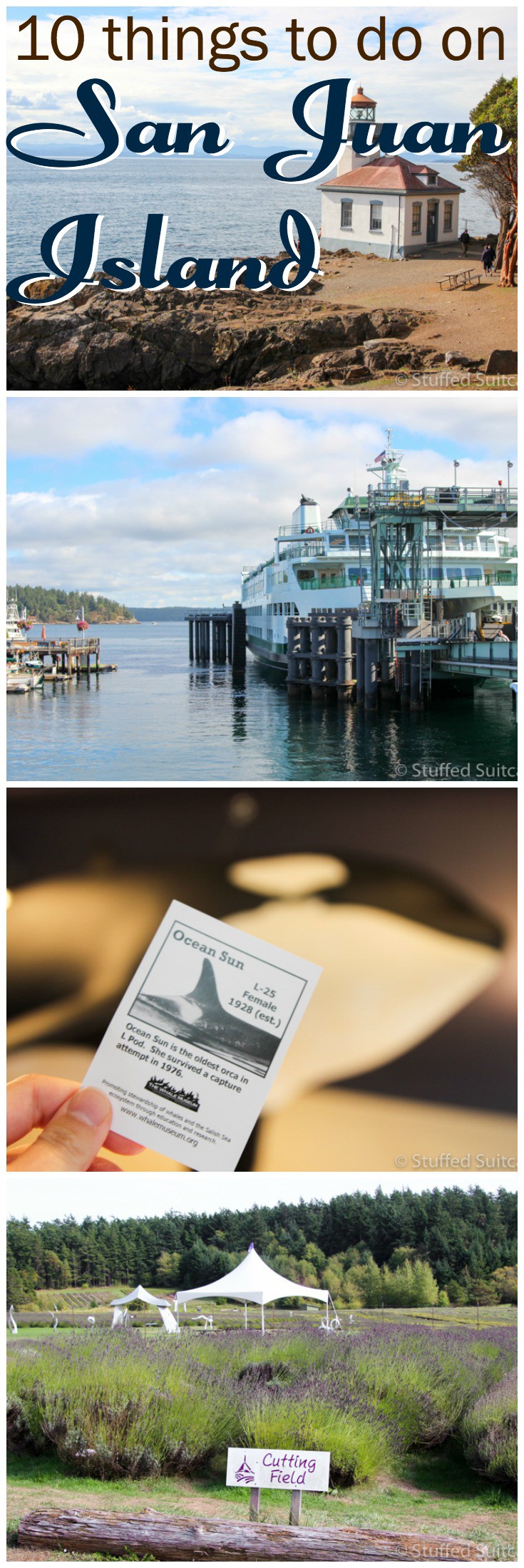 If you're taking a vacation to the west coast, be sure to plan a visit to the islands - San Juan Island is charming and full of activities perfect for family travel or adventure travel.