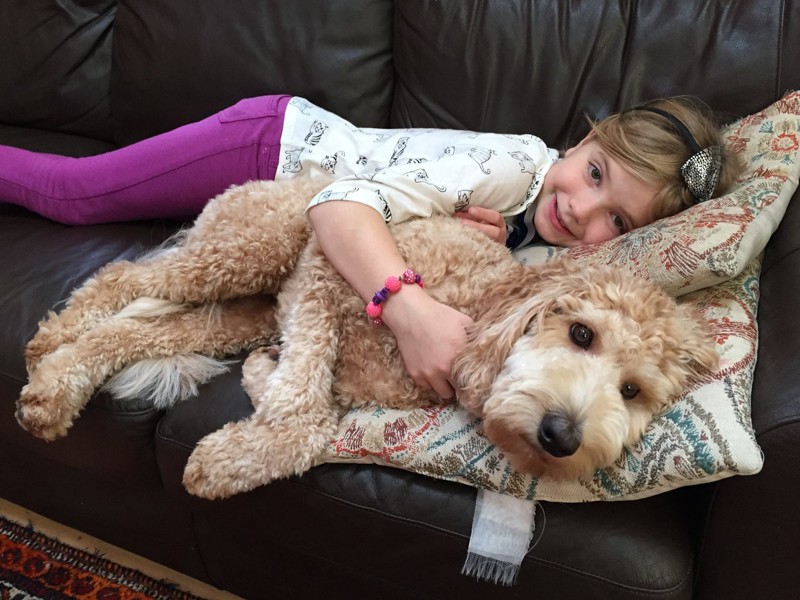 Kids and puppies can be great friends, but a few rules need to be taught to both kid and puppy!