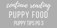 puppy-potty-training-tips-best-puppy-food