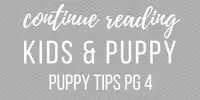 puppy-potty-training-tips-kids