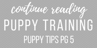 puppy-training-class