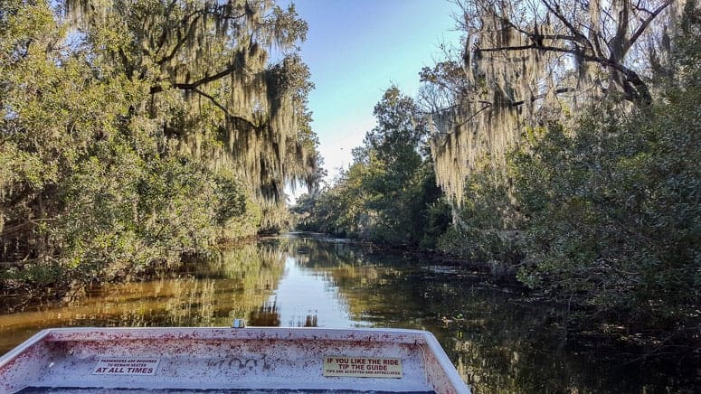 airboat view in lousiana