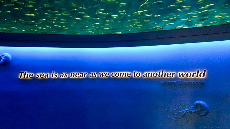 monterey bay aquarium quote on wall