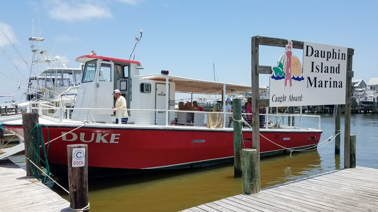 dauphin island dolphin cruise boat tour what to do in gulf shores alabama