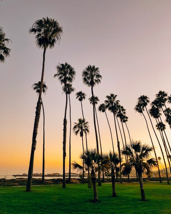 chase palm park in santa barbara