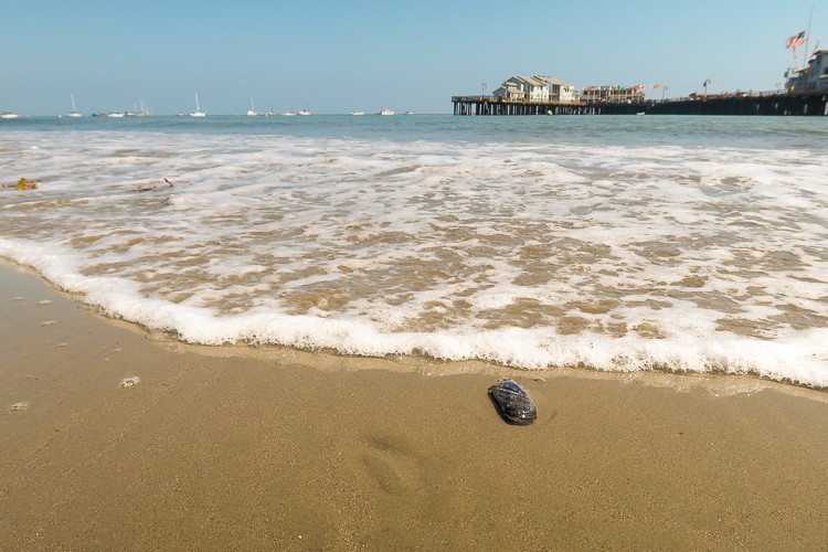 santa barbara beach hotel