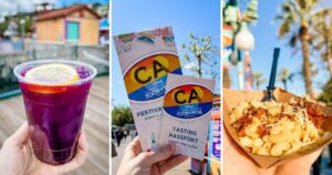 disney california adventure food and wine festival collage with blueberry drink brochures and mac n cheese