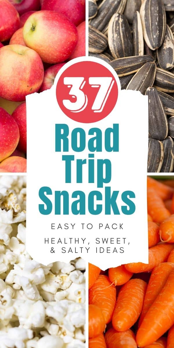 car road trip snacks