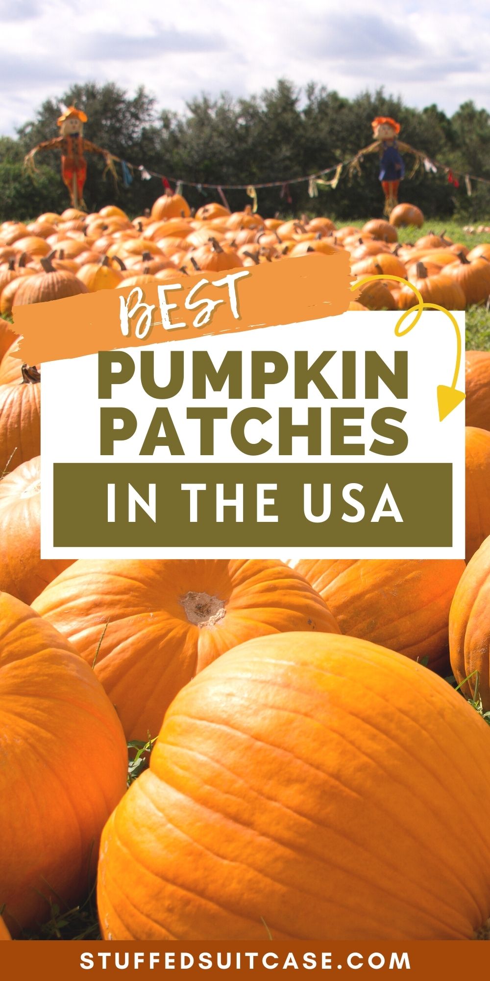 pin text best pumpkin patches in usa overlay on pumpkin patch image