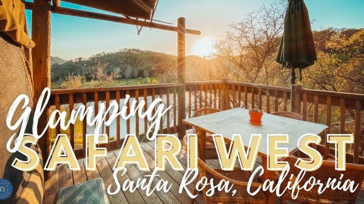 safari west in santa rosa title text image