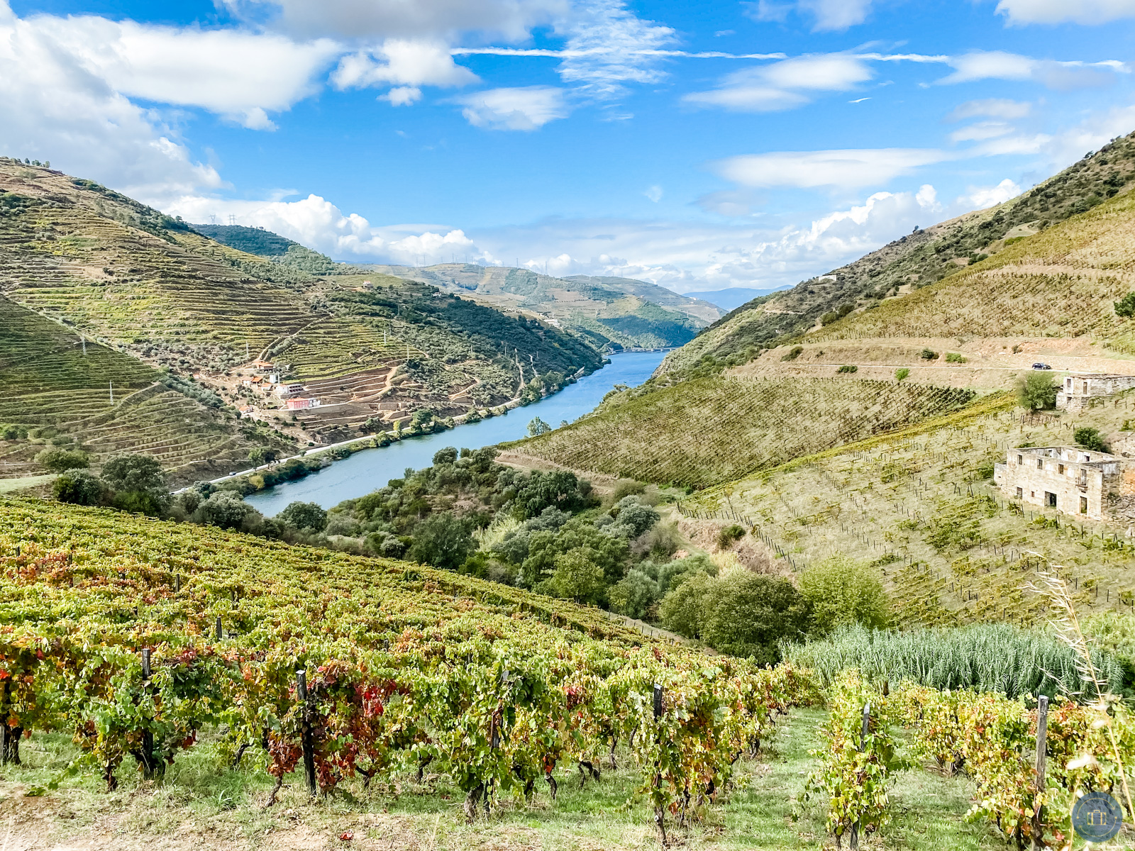 douro valley landscape vineyards and river valley