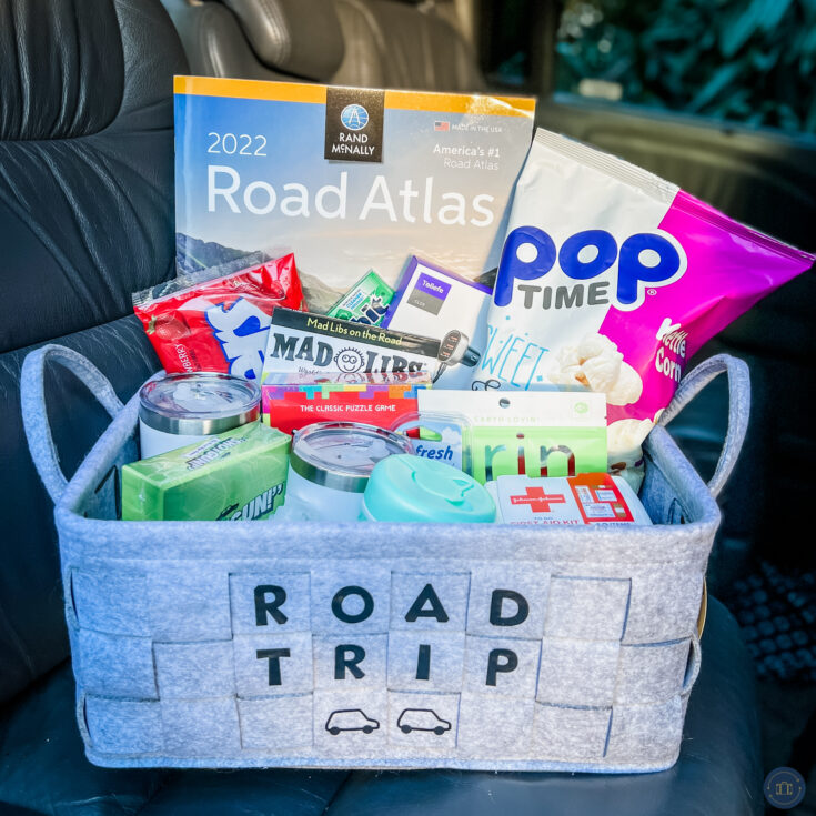 road trip gifts for car