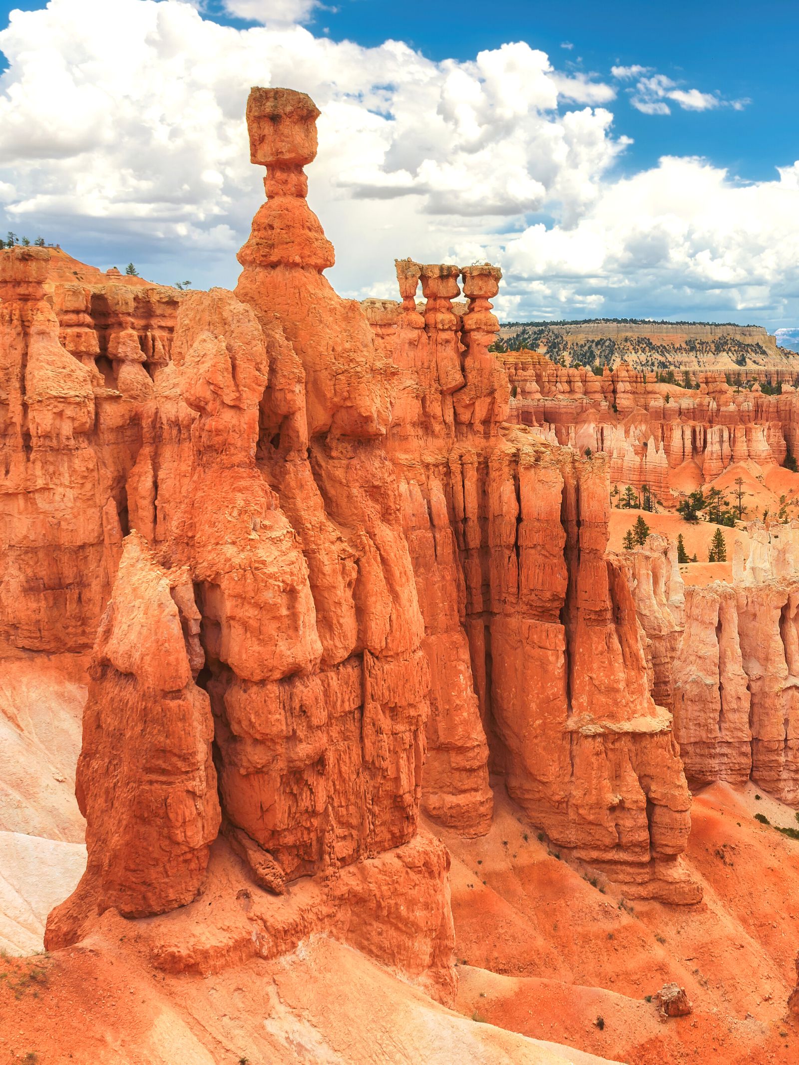 rock formations at bryce canyon national park in utah