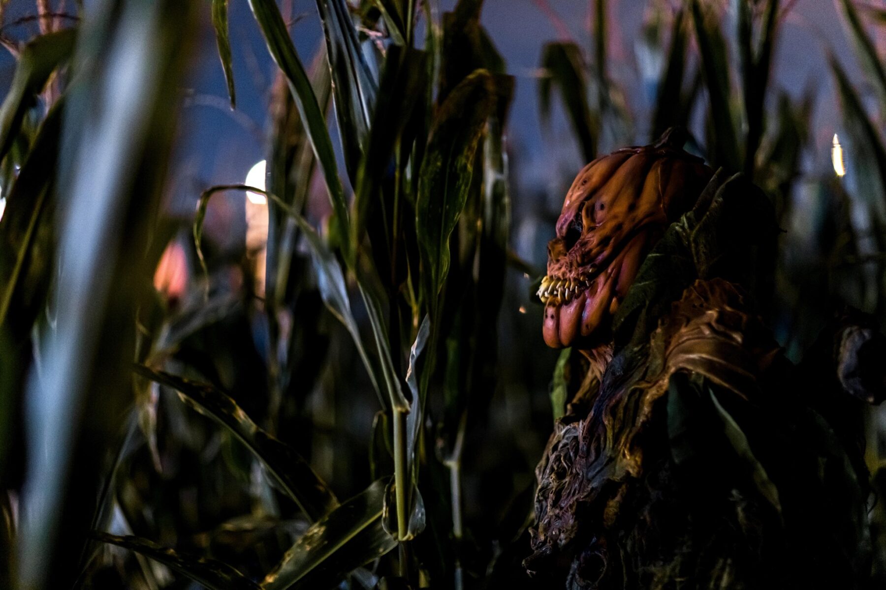 spooky creature in haunted corn maze in arizona