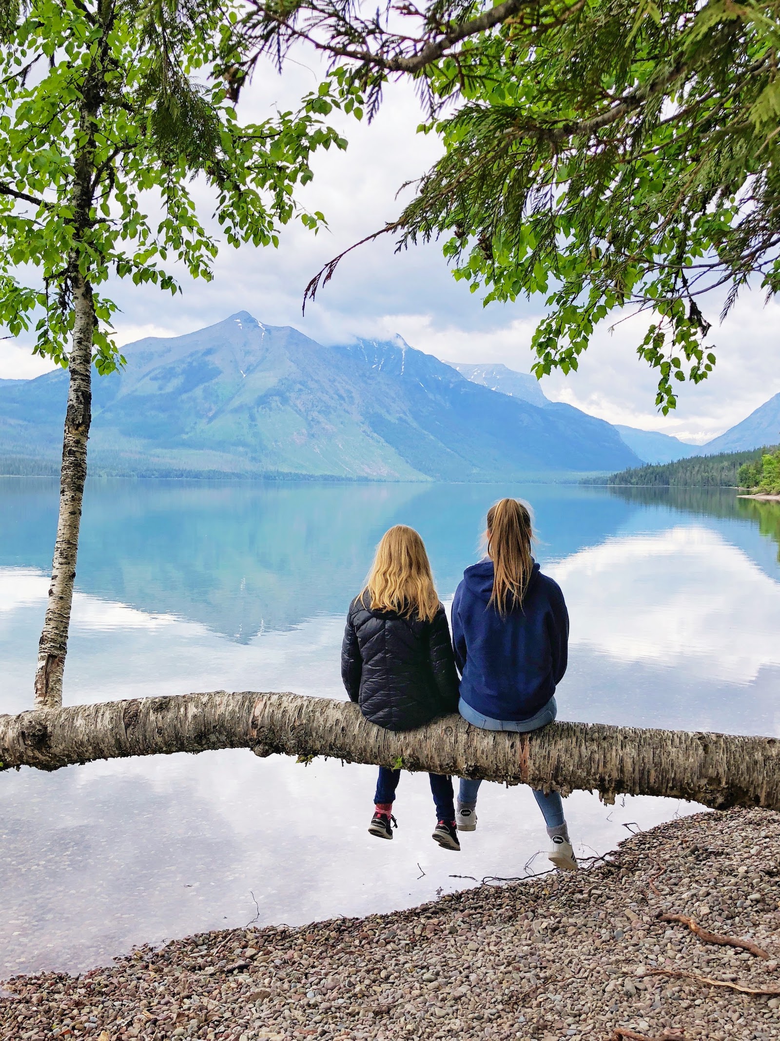 kids sitting on tree limb by lake mcdonald in glacier national park
