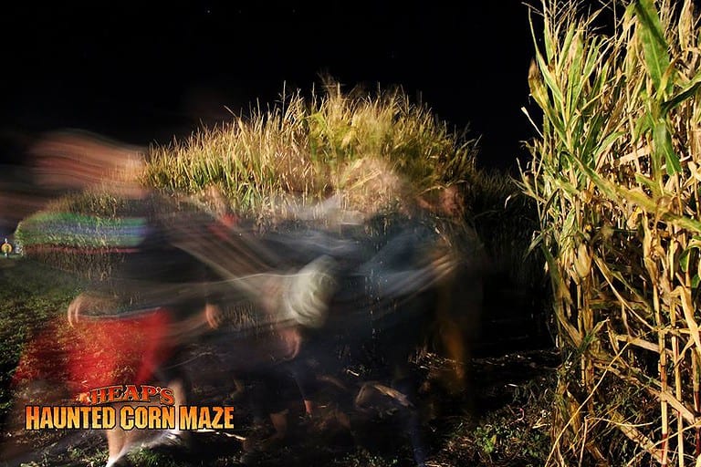 Looking for a Scary Corn Maze? 13 Best Haunted Corn Mazes in the USA