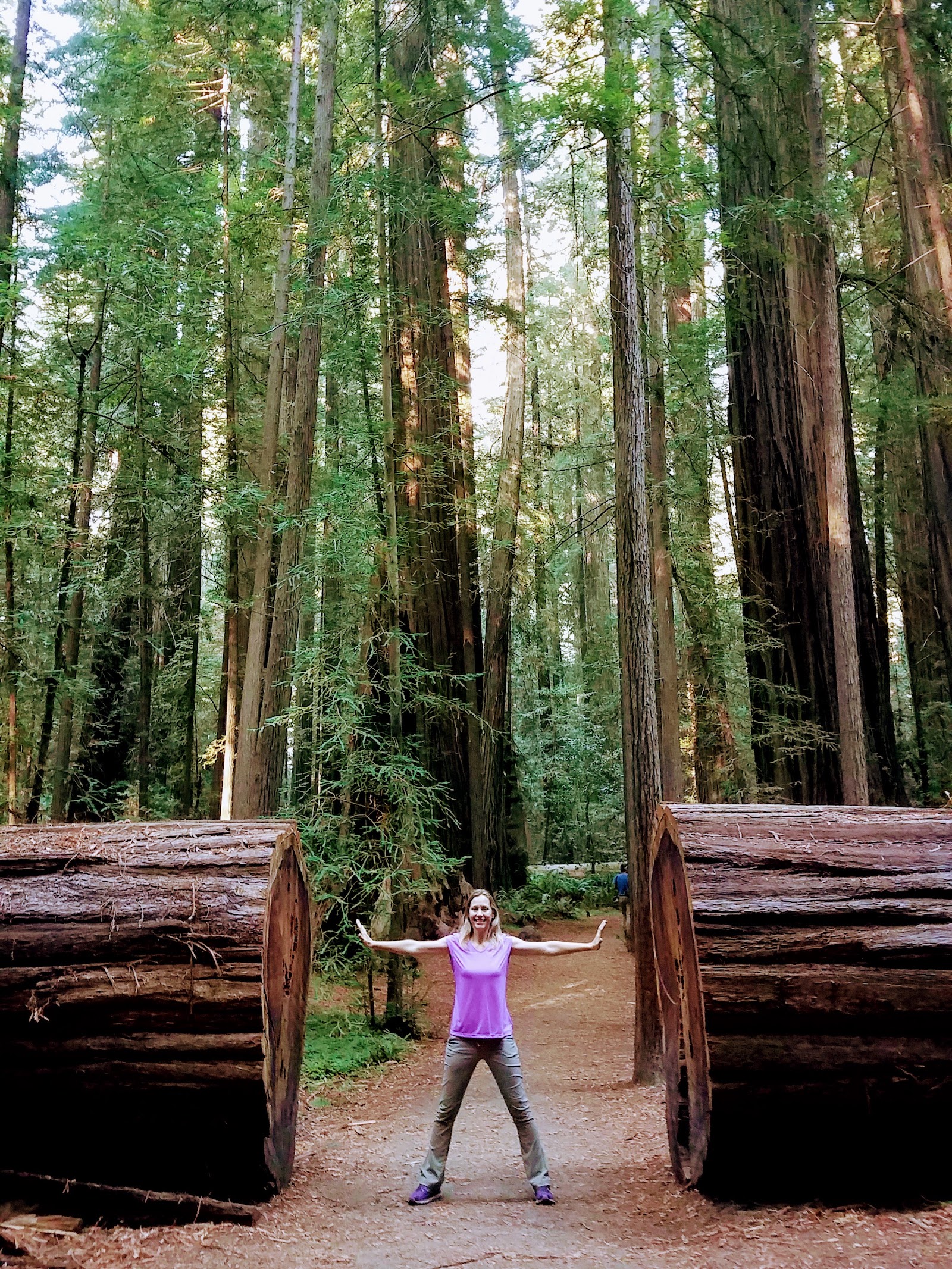 woman standing inside cut redwood tree in redwood national park california