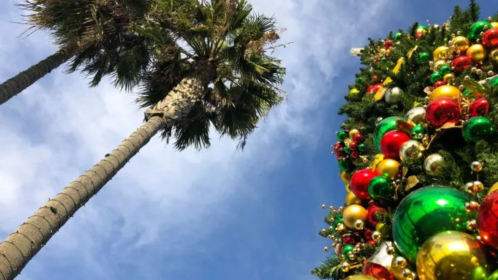 looking up at sky with palm trees and a christmas tree