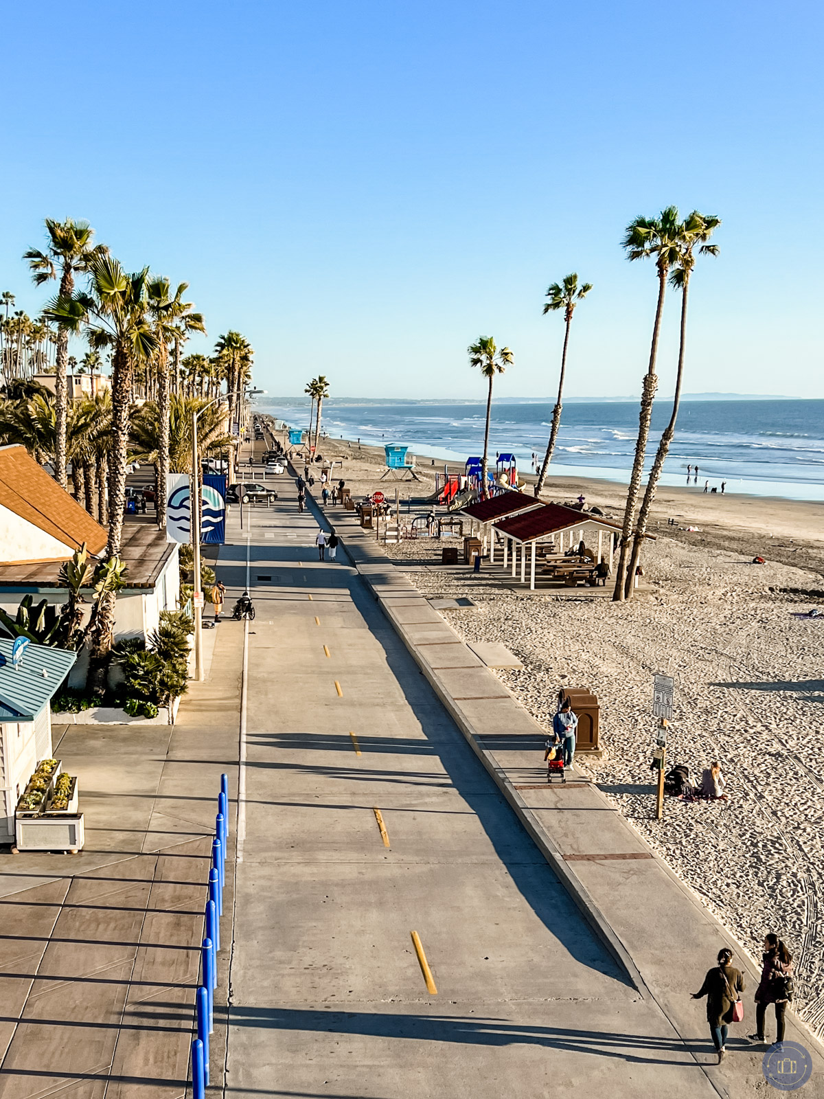 beach and the strand with palm trees at oceanside ca