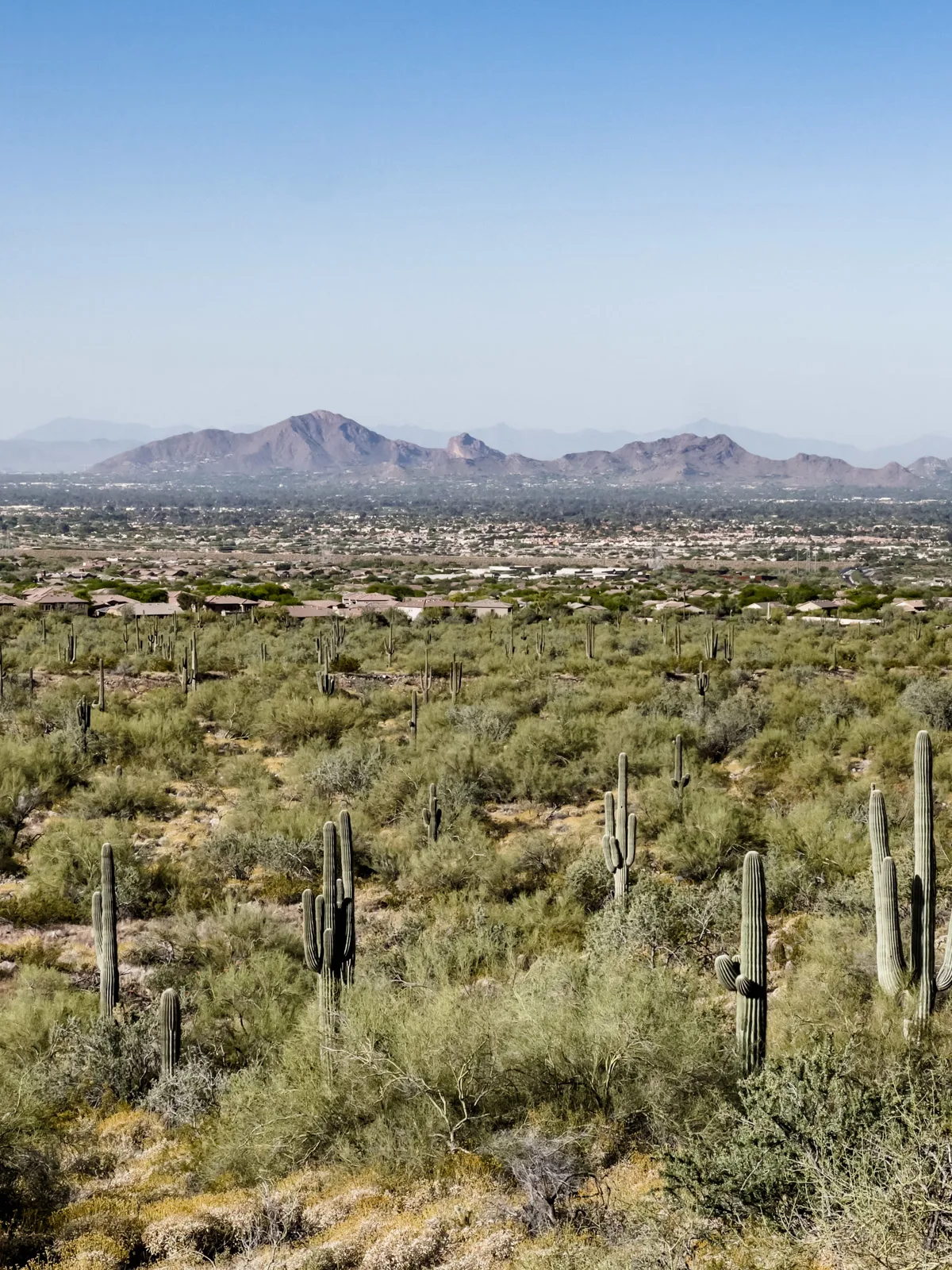 view of camelback mountain and scottsdale from mcdowell sonoran preserve hike