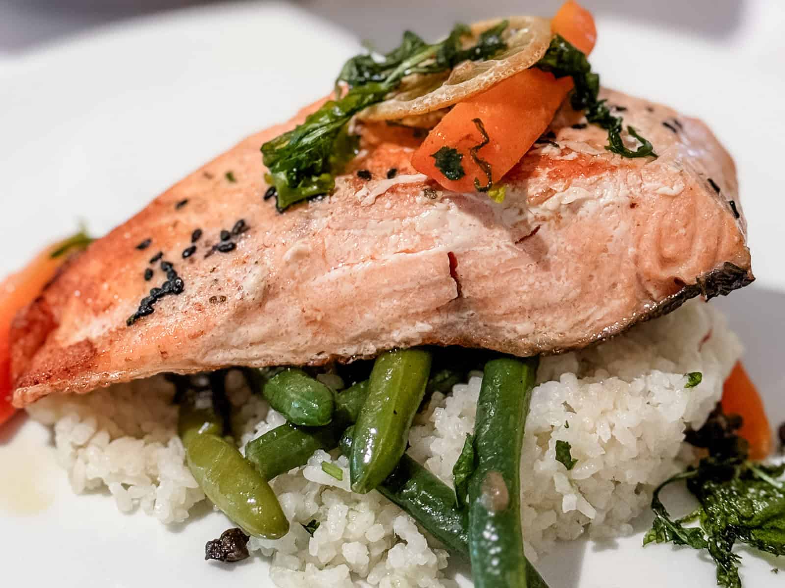 salmon dish on nieuw statendam holland america dining room