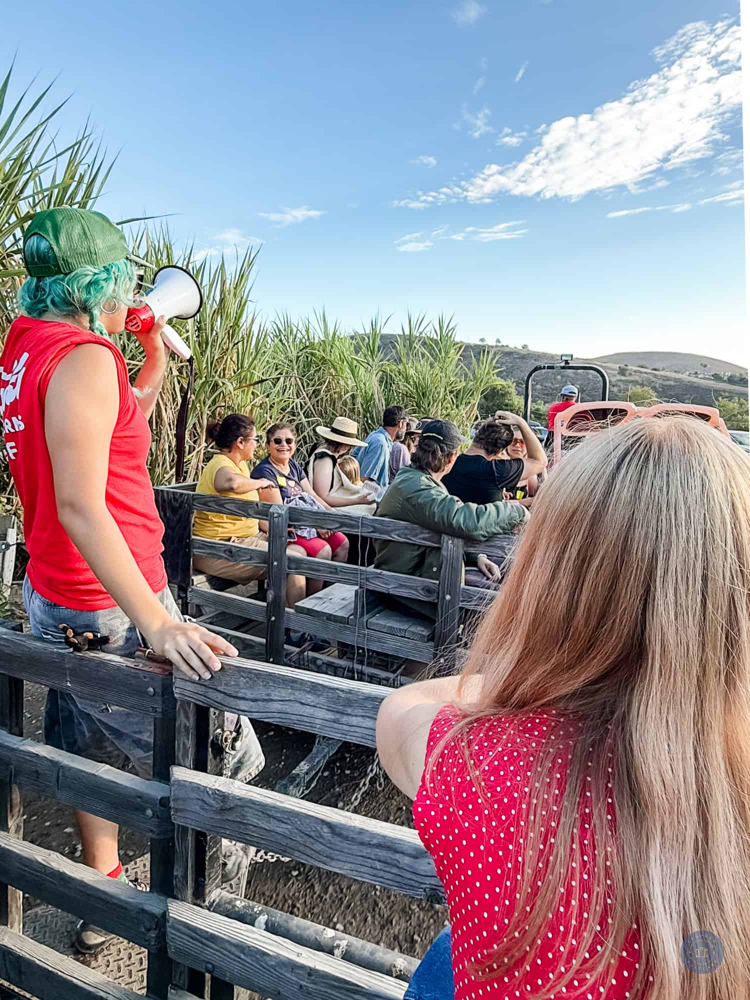 people on wagon ride by sugar cane at tanaka farms in irvine california with guide speaking in megaphone