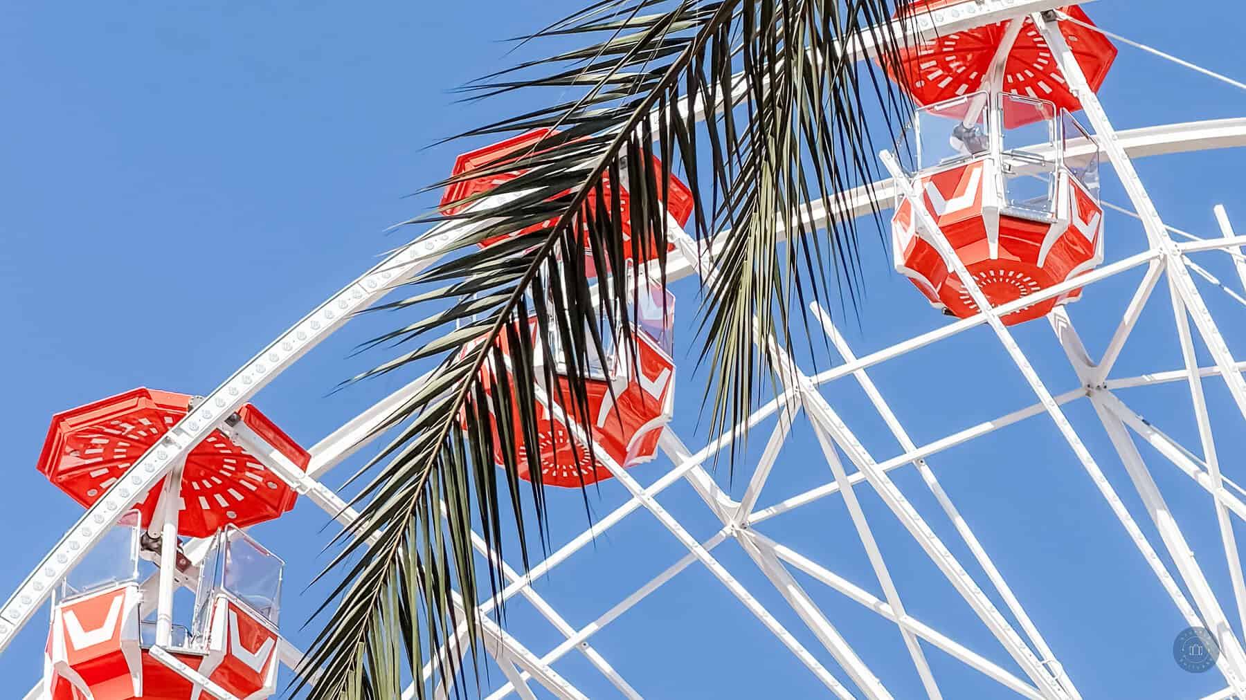 close up shot of wheel carts of irvine spectrum center ferris wheel with palm tree frond in foreground