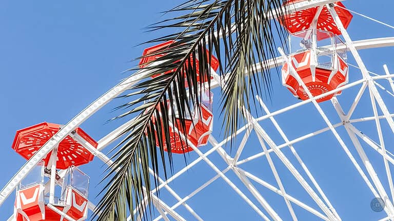 close up shot of wheel carts of irvine spectrum center ferris wheel with palm tree frond in foreground