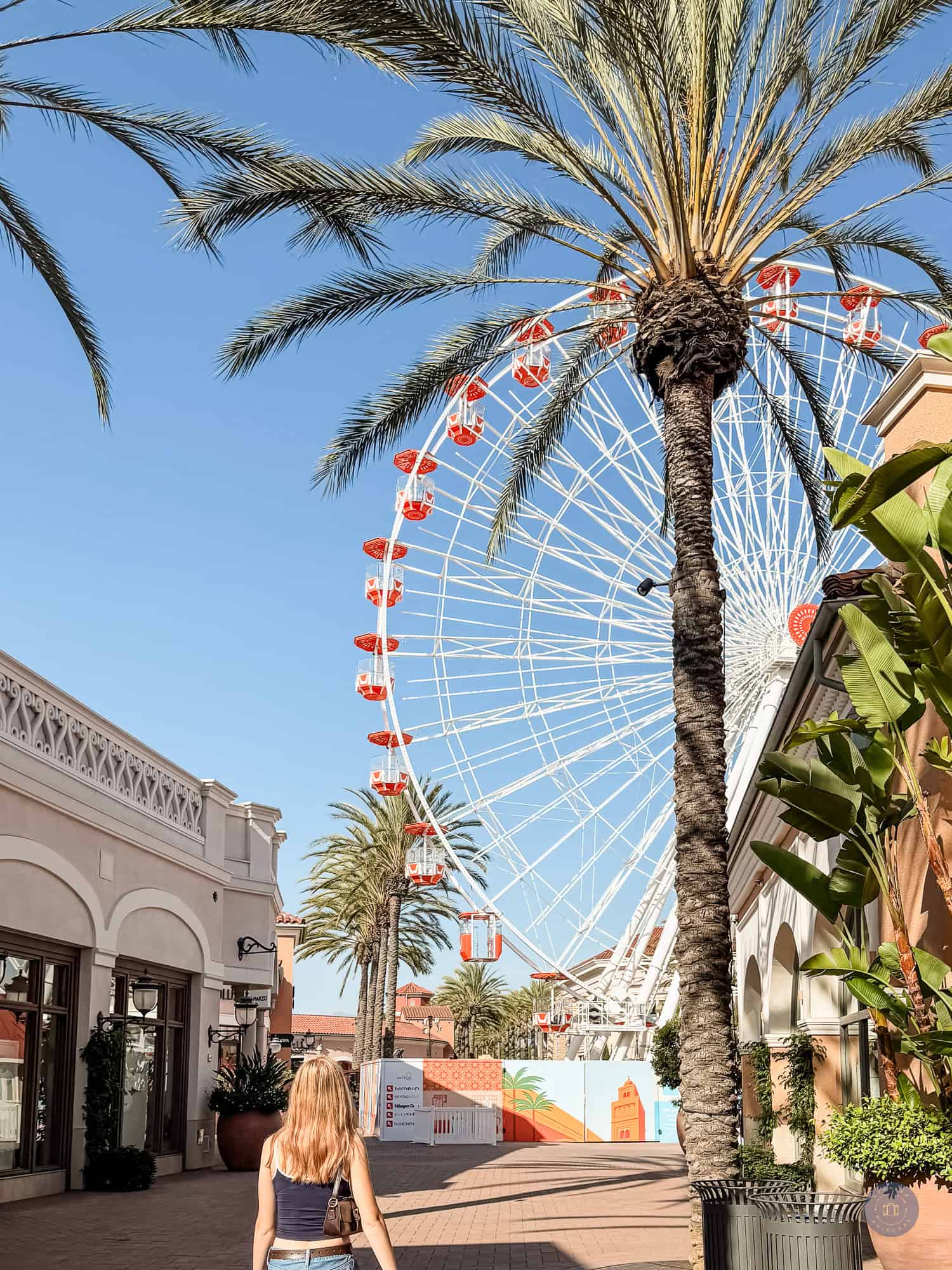 Ferris wheel and palm trees in Irvine, perfect for teens.