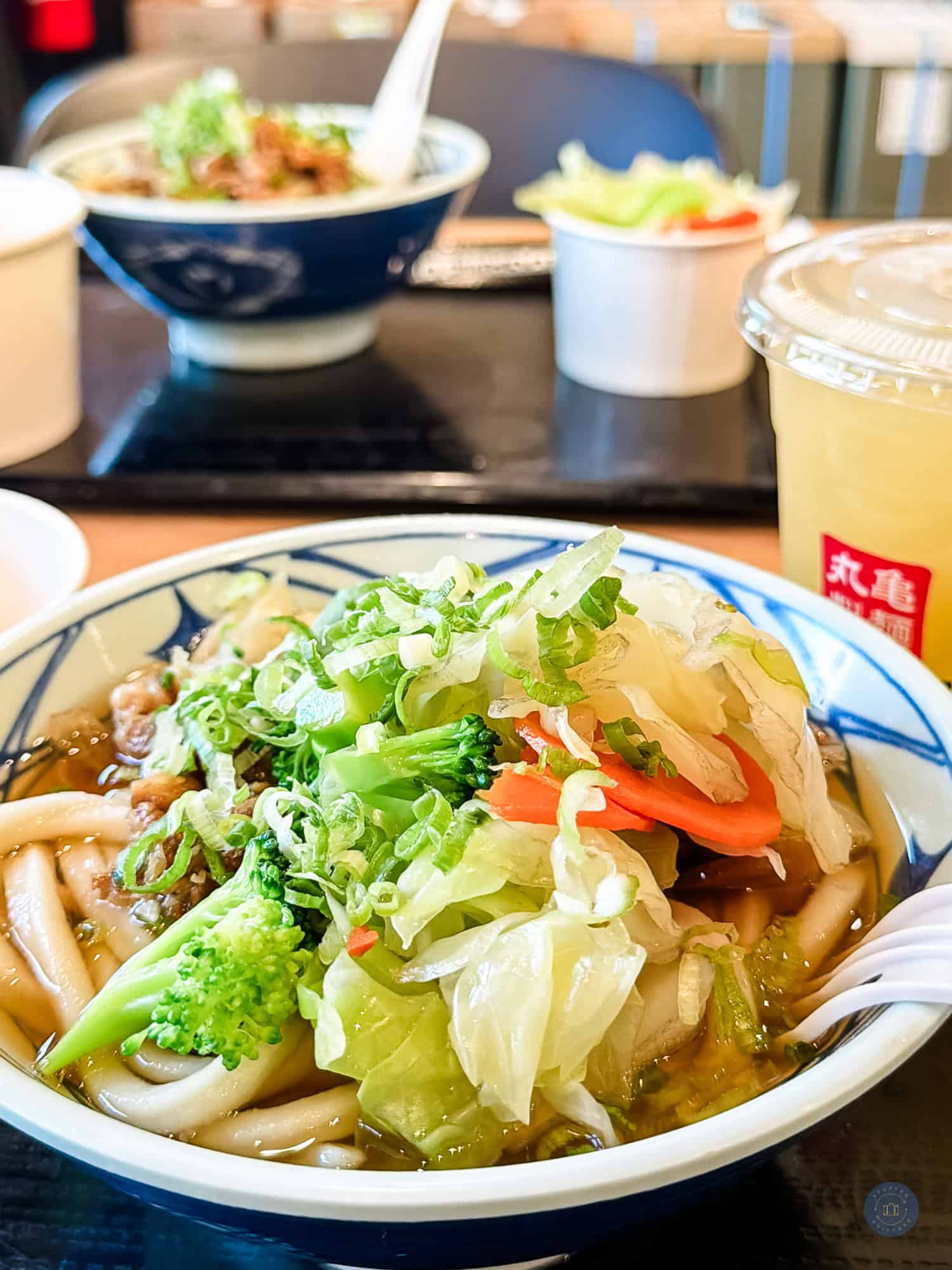 Bowl of Asian noodle udon bowl with broccoli, cabbage, and carrots at marugame udon diamond jamboree asian food court in irvine california